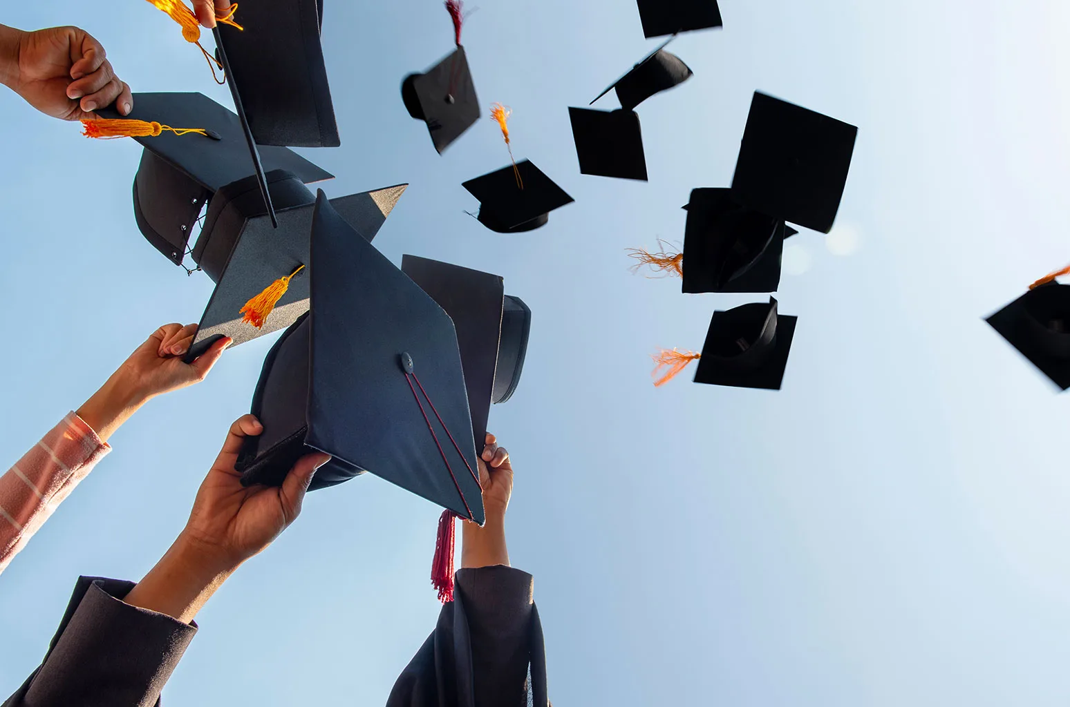 أقوى التخصصات والشهادات الجامعية في العالم