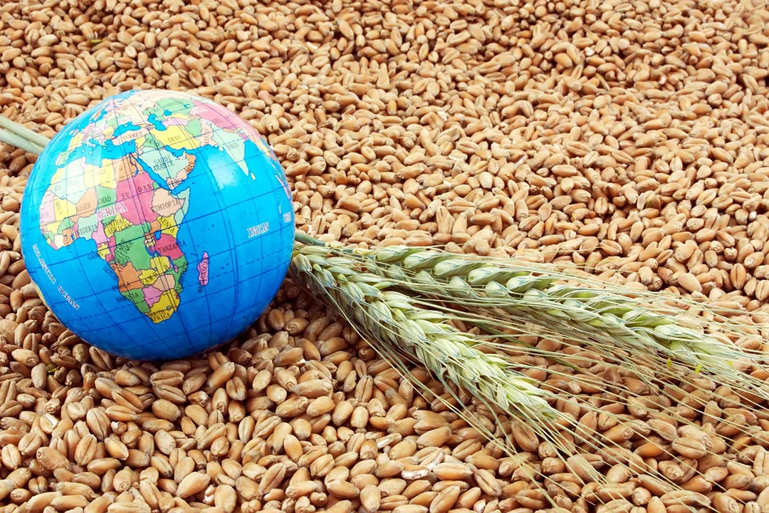 أكثر الدول انتاجاً للأعلاف في العالم