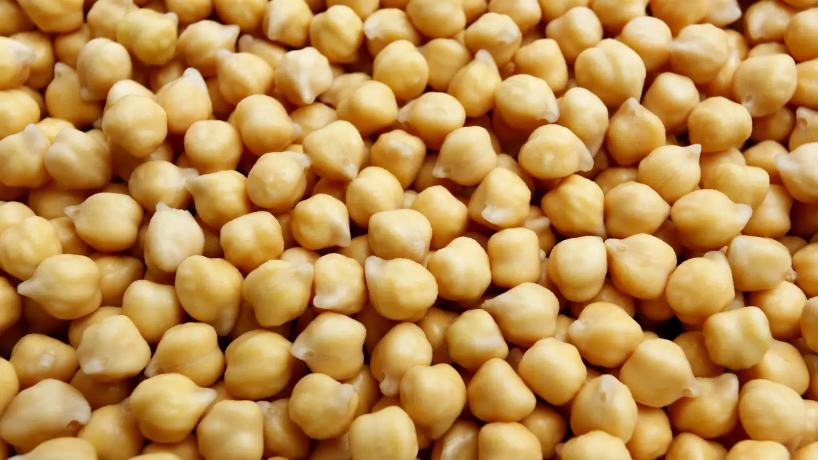 أكثر الدول انتاجاً للحمص