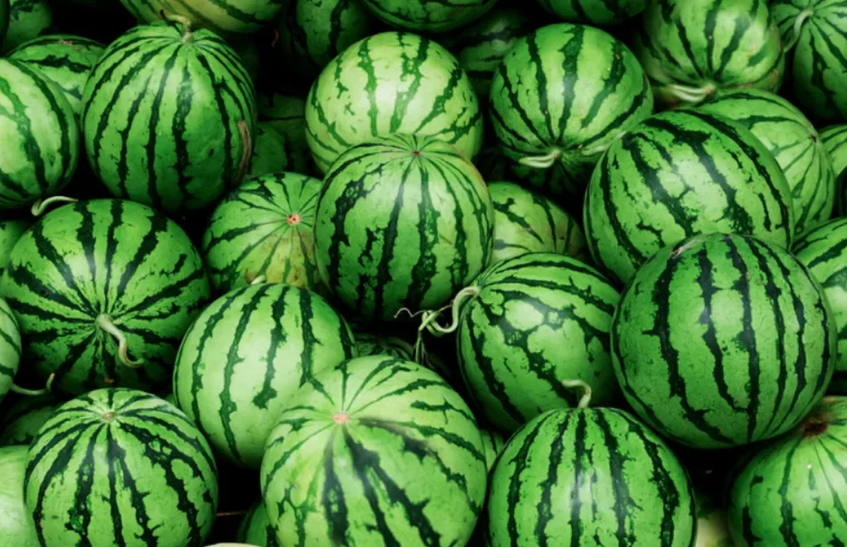 أكثر 10 دول إنتاجاً للبطيخ