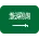 🇸🇦