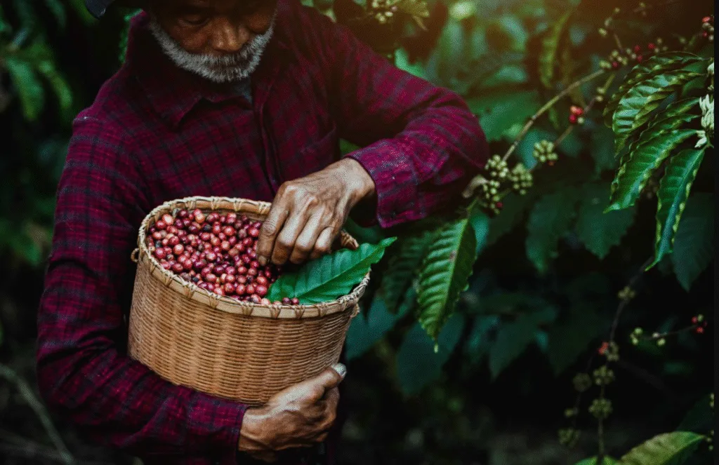 أكثر الدول إنتاجاً للبن في العالم