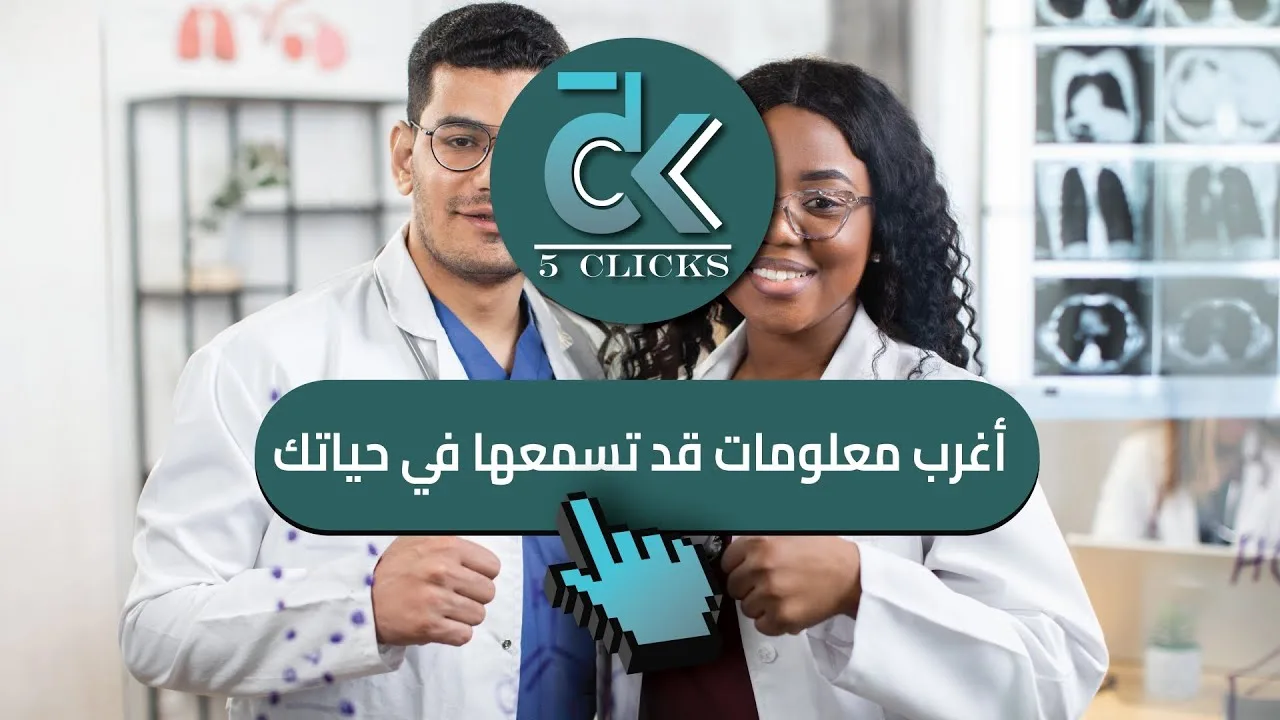 أفضل 10 دول من حيث الاستقرار السياسي