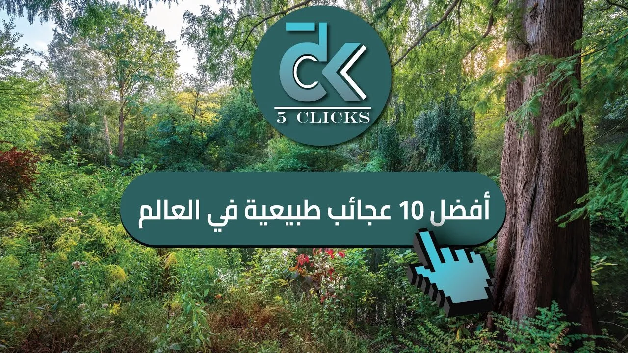البيت الأبيض يلوّح بتعليق الرسوم الجمركية على السيارات