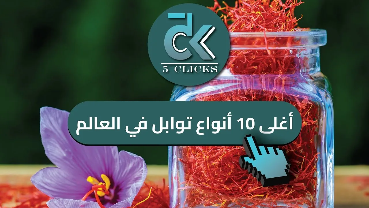 كيف تحدد العوامل الاقتصادية سعر الصرف للعملات؟