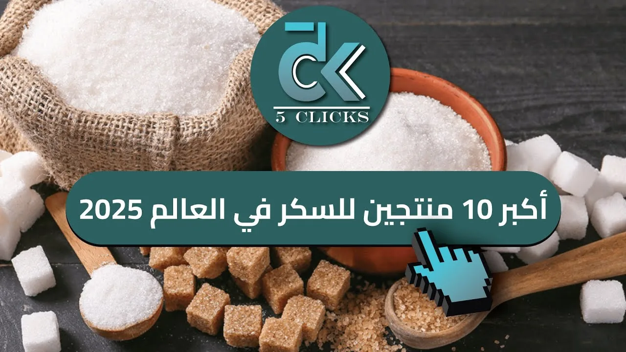 من هم أغنى 5 أستراليين وكم تبلغ ثروتهم؟