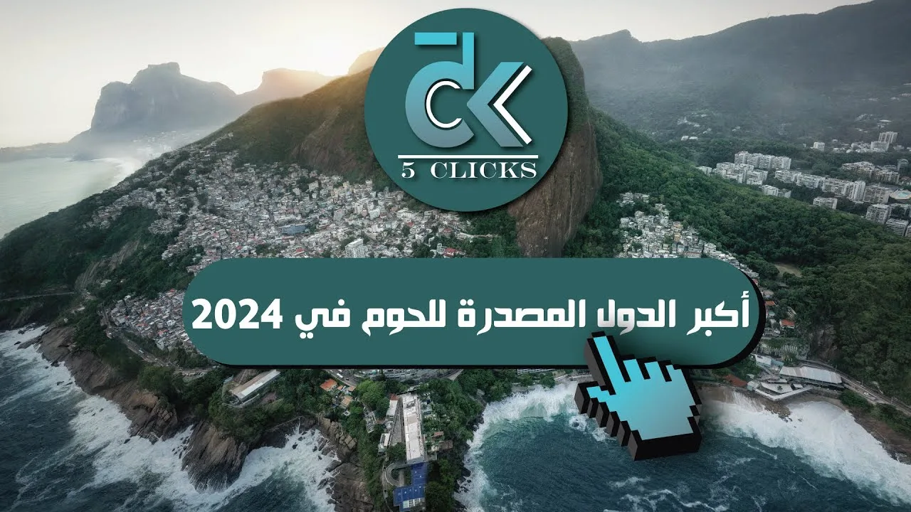 أفضل شركات التداول المرخصة في السعودية: دليل للمستثمرين