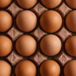 أهم 10 دول مصدرة للبيض على مستوى العالم