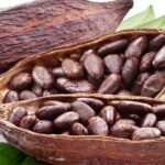 إنتاج الكاكاو عالميًا